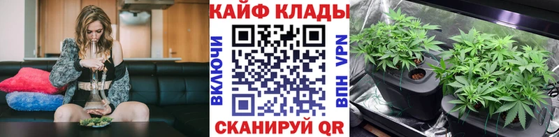 Купить наркотик аптеки Красногорск Экстази  СОЛЬ  Гашиш  Меф  Канабис  АМФ  OMG как войти  Псилоцибиновые грибы 