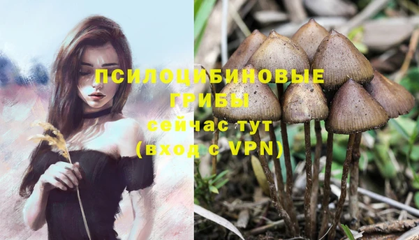 мяу мяу кристалл Магас