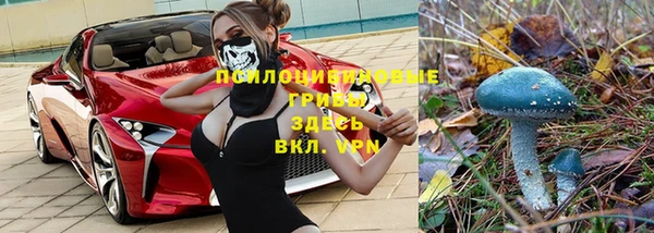 MESCALINE Майский
