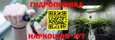прущие грибы Ирбит