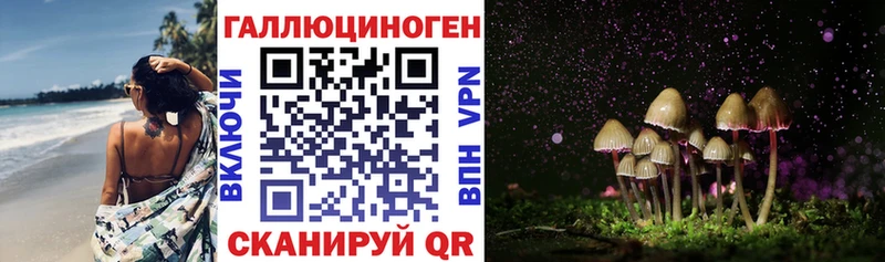 где найти   Красногорск  Галлюциногенные грибы MAGIC MUSHROOMS 