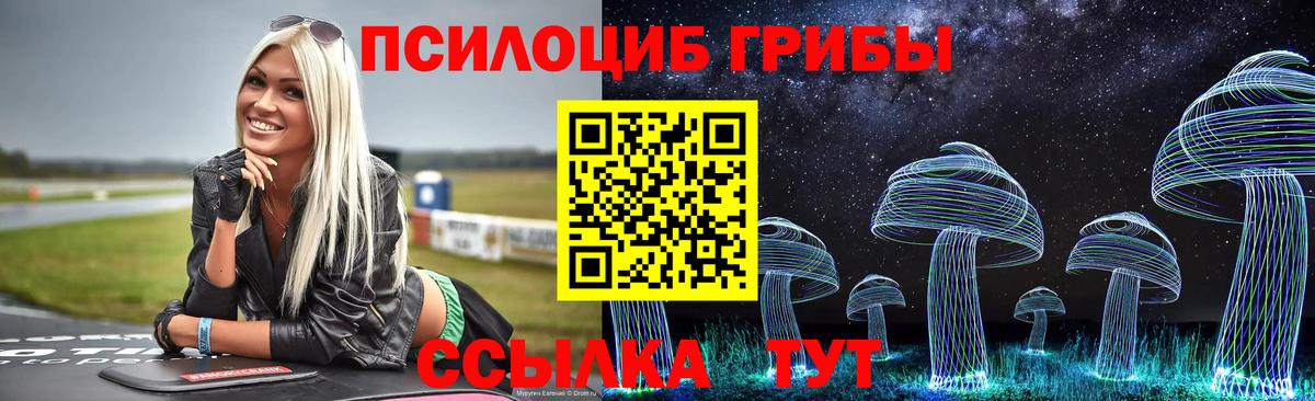 Псилоцибиновые грибы GOLDEN TEACHER Красногорск